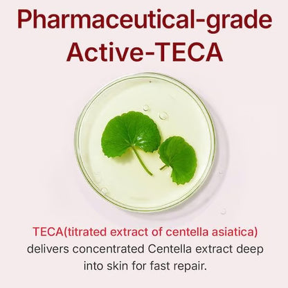 ✨ Christmas Special Offer 🧪 Time Reversal - Advanced Fast-Acting Version